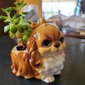 1950 Vintage European Planter with Succulent